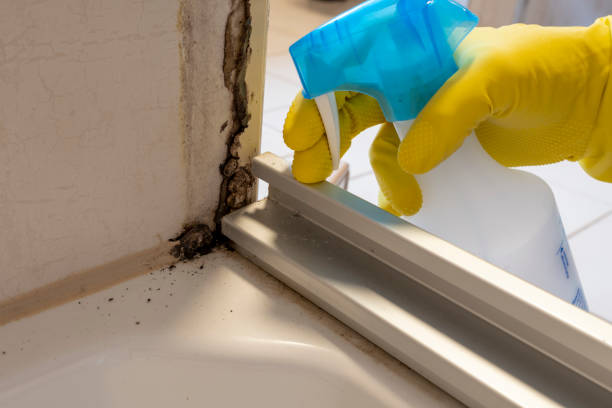Best Mold Testing  in Thomaston, GA