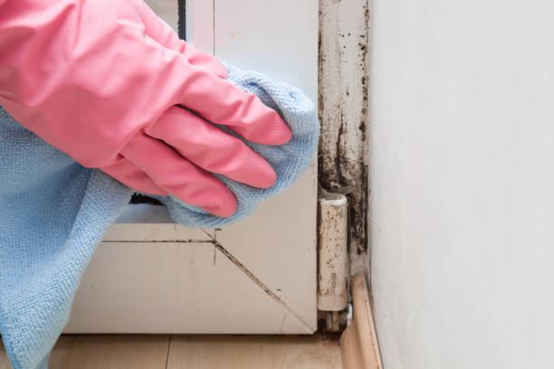 Best Mold Cleaning Services  in Thomaston, GA